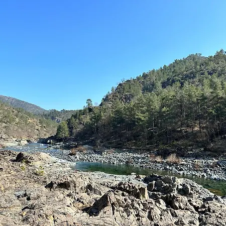 Minetto