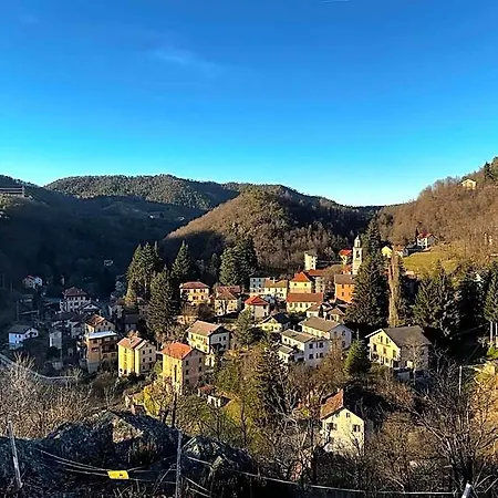 Minetto Martina Olba